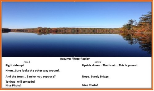 au up down pix revised homily (2)