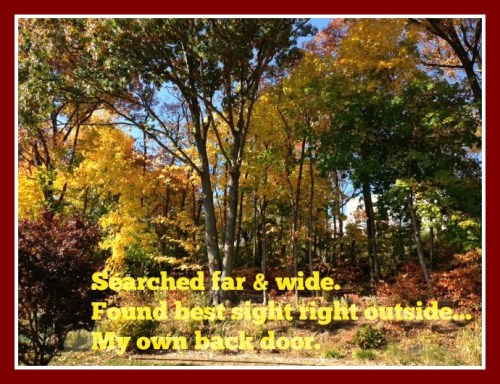 backyard autumn picmonk